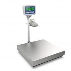 WX indicator with WP1 platform and LP50 printer